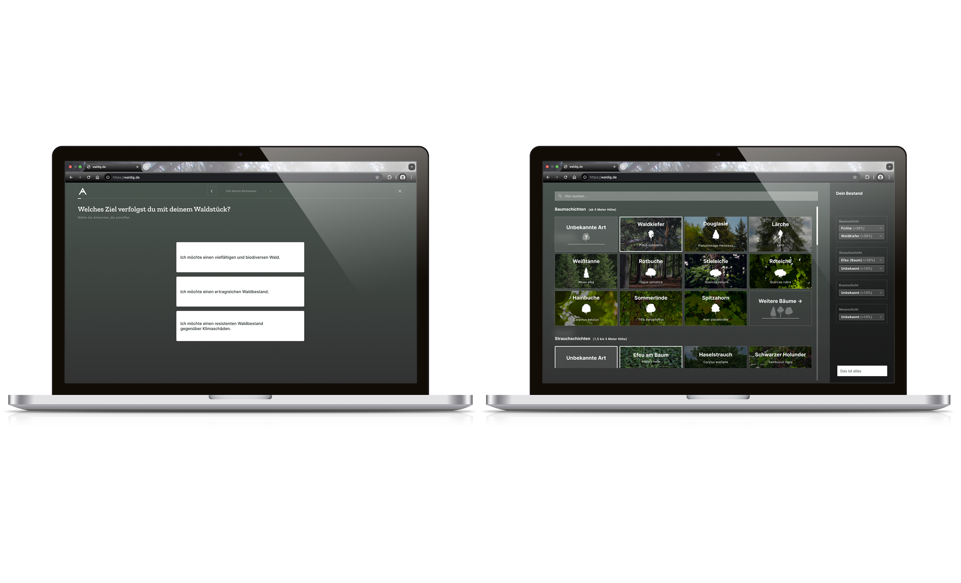 mockup screens